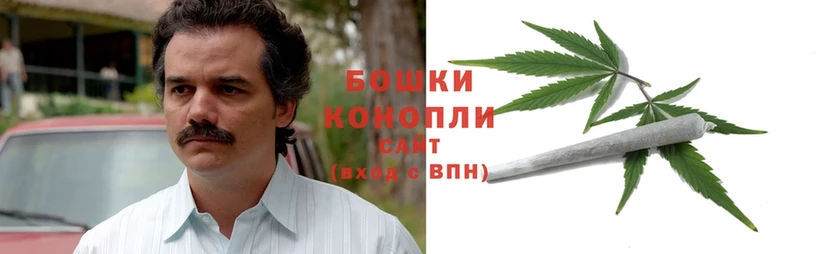 наркотики  Алдан  Бошки марихуана Bruce Banner 